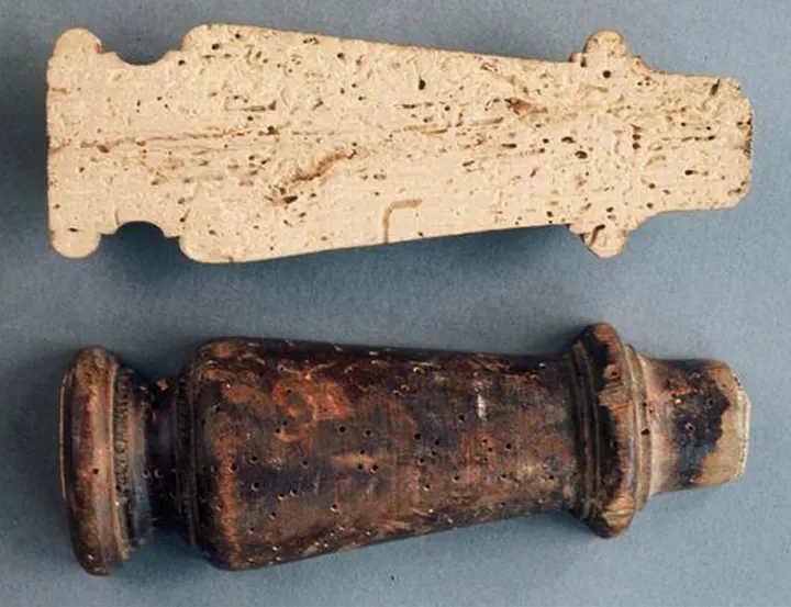 Petite Vrillette - Boissur Traitement charpente contre les insectes à larves xylophages comme les grosses et petites Vrillette à Toulon