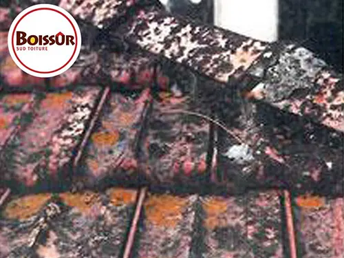 Nettoyage toiture à Fréjus