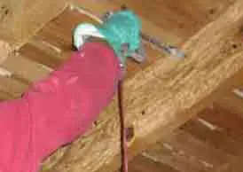 Traitement préventif termites