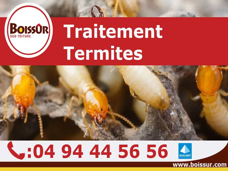 Traitement anti-termites
