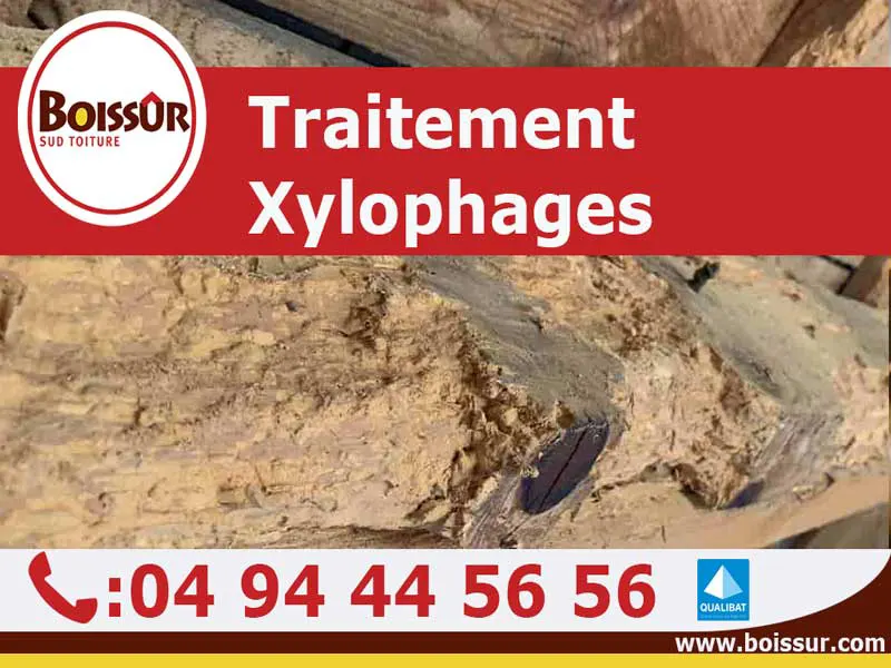 Traitement contre les insectes xylophages